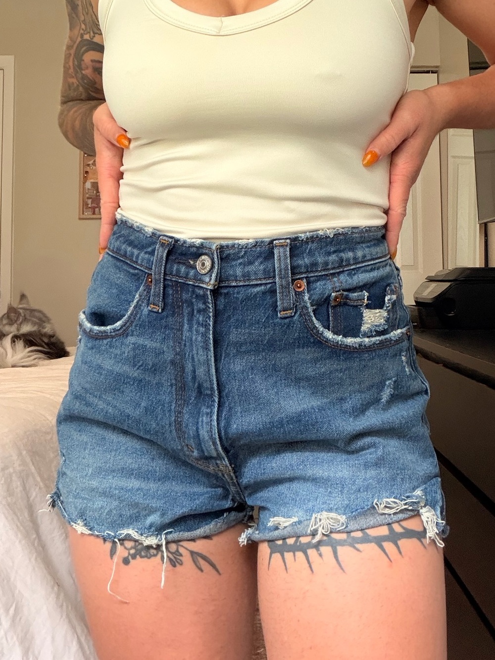 Abercrombie & Fitch Curve Love Mom Shorts S 26 High Rise
